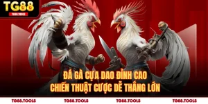 Đá Gà Cựa Dao Đỉnh Cao - Chiến Thuật Cược Dễ Thắng Lớn